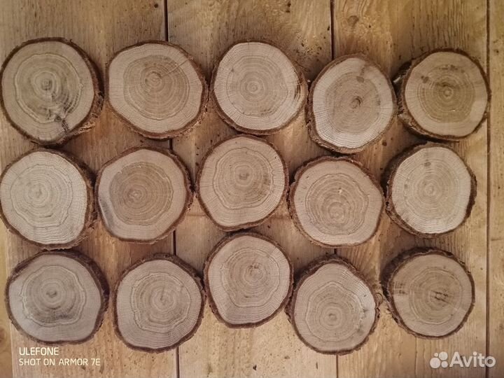 Спилы дерева