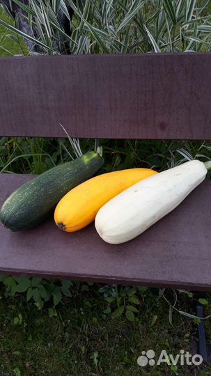 Кабачки, тыква, груши