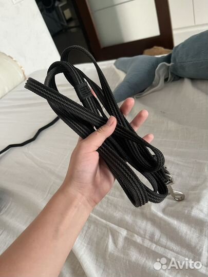 Амуниция для собак