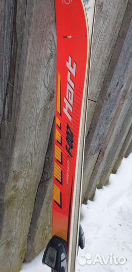 Горные лыжи