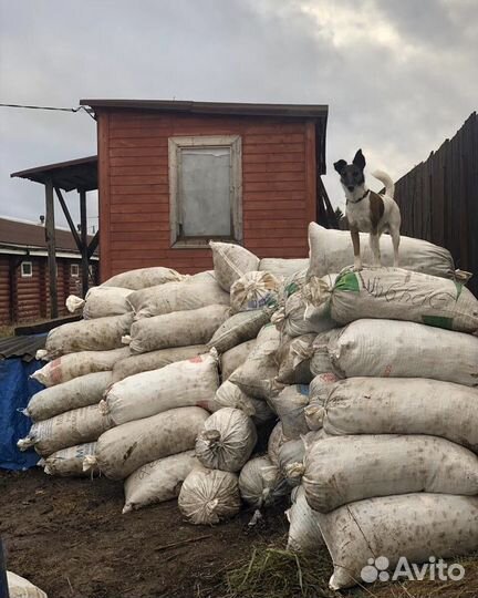 Конский навоз перегной