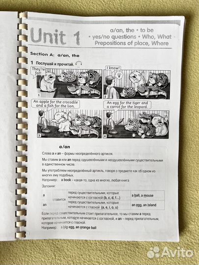 Macmillan Primary Grammar: Level 2,3