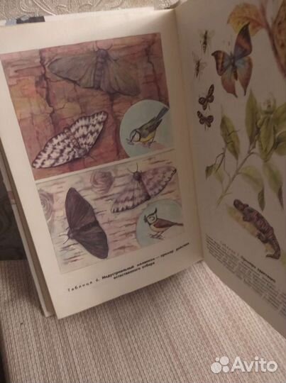 Книги учебные