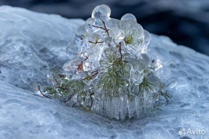 Экскурсии,прогулки на Валаам,Ладожские шхеры