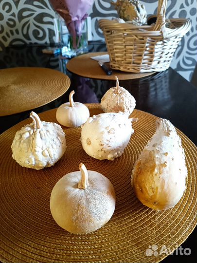 Высушенные декоративные тыквы