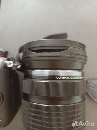 Panasonic lumix gh5s