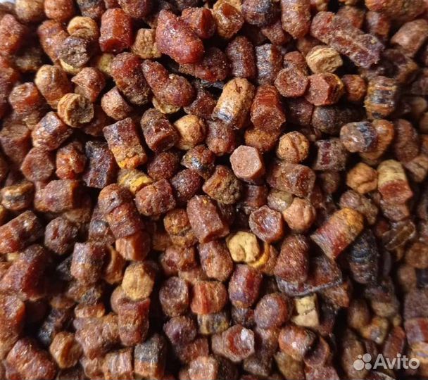 Пыльца, перга, прополис 2023 года