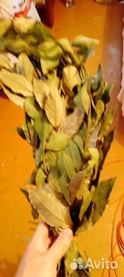 Лавровые веники, лаврушка, лавр