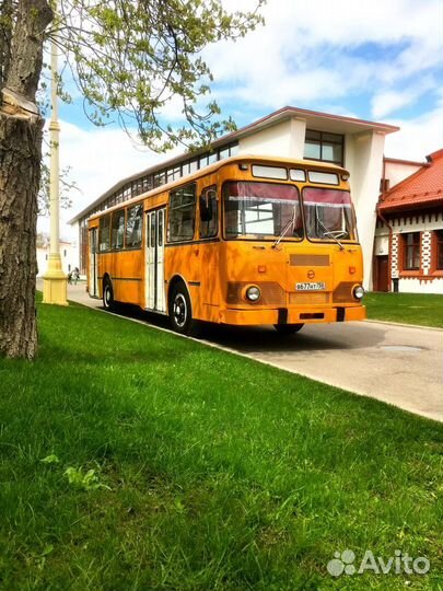 Аренда ретроавтобуса лиаз 677, лаз 695, Икарус 250