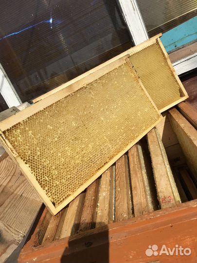 Сушь для пчел