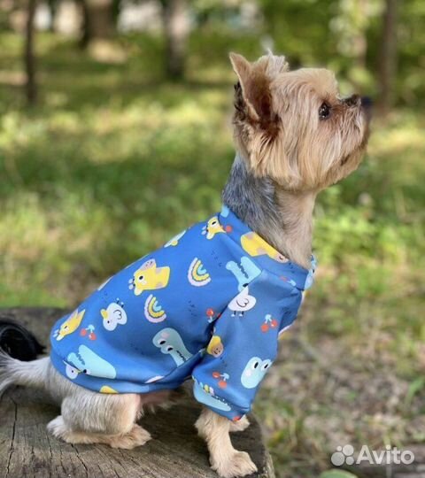 Кофточка для собаки/кошки