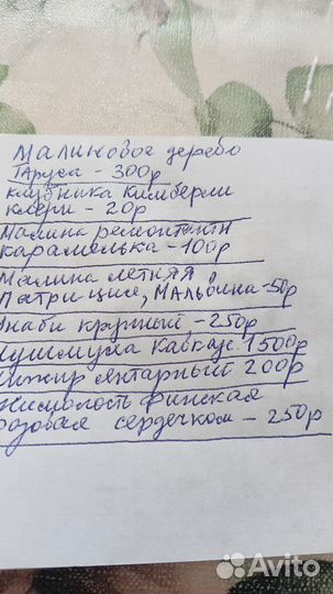 Клубника саженцы