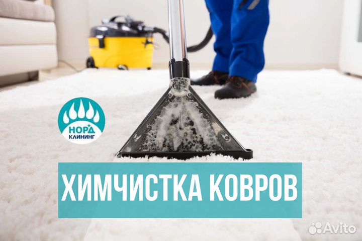 Химчистка ковра/паласа