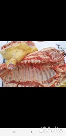 Мясо свинина домашняя