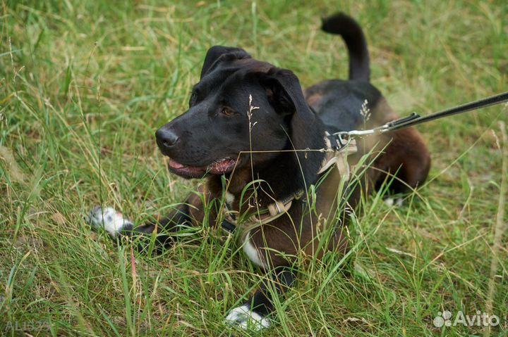 Нежный и робкий мальчик