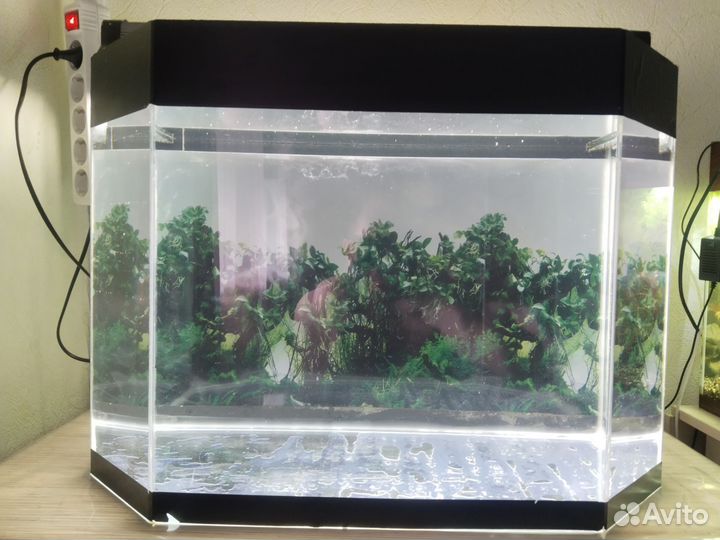 Аквариум