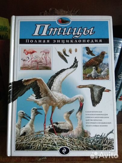 Энциклопедия Птицы