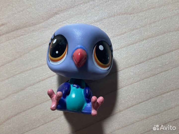 Littlest Pet Shop Голубь Duva Pombo