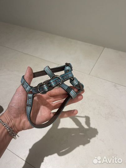 Шлейка XS Doog для мелких пород