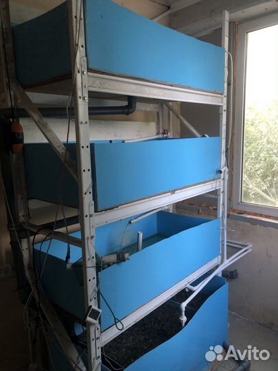 Ферма по разведению рака,аккр