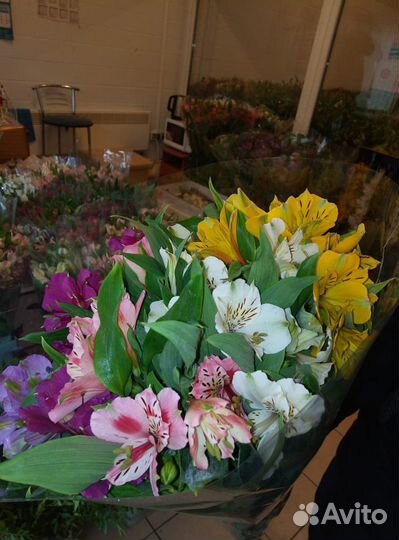 Розы с доставкой в офис, на дом