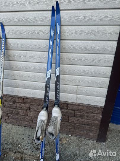 Беговые лыжи