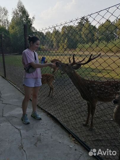 Няня-сопровождающая/ бебиситтер (няня на час)