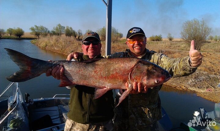 Рыбалка в Астрахани (охота)