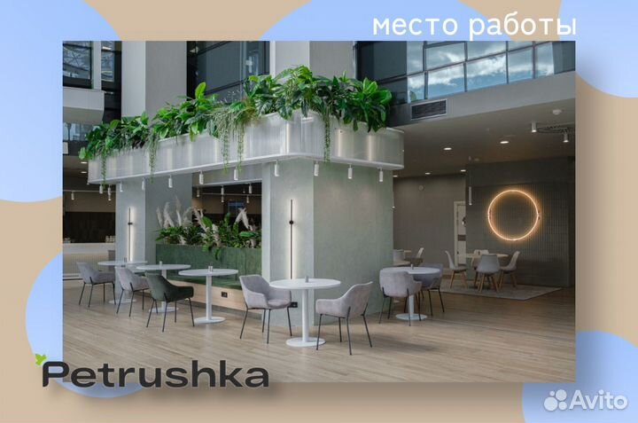 Котломойщик столовая