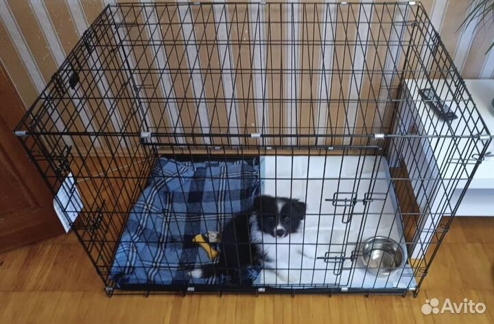 Клетка вольер для собак