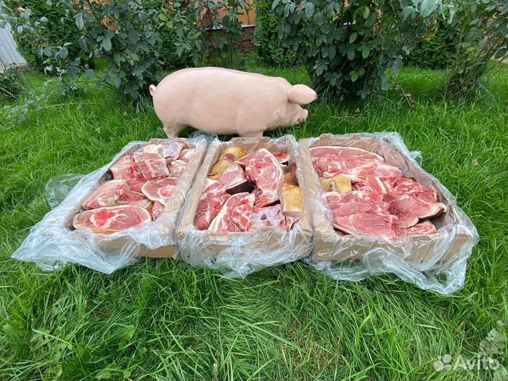 Фермерское мясо свинина