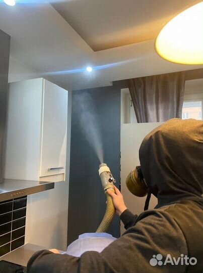 Уничтожение тараканов и клопов, Дезинсекция