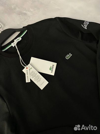 Свитшот Lacoste без начеса