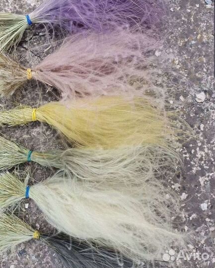 Стифа, сухоцвет