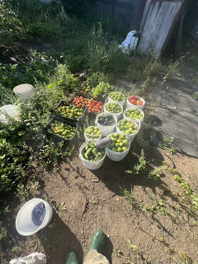 Дача 50 м² на участке 4,5 сот.