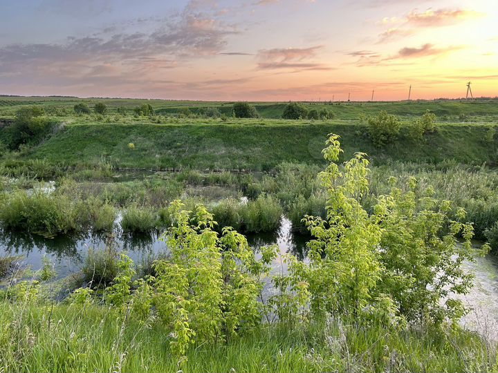 Участок 20 сот. (ИЖС)