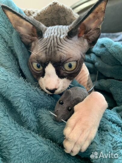 Услуги электрика электромонтажные работы