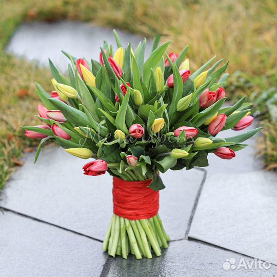 Букет 51 Красный Тюльпан