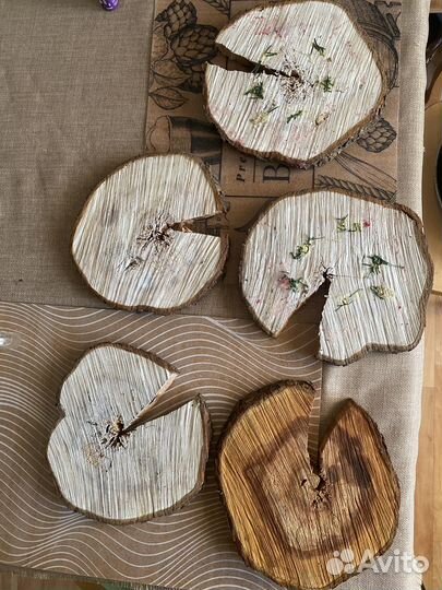 Древесный спил