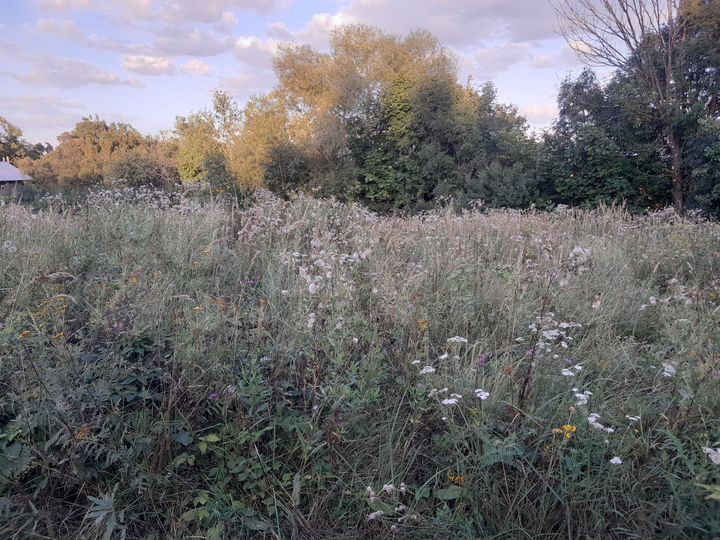 Участок 15 сот. (ИЖС)