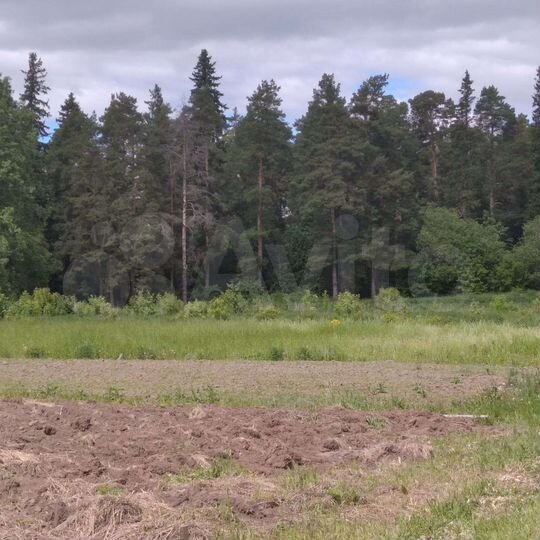 Участок 20 сот. (ИЖС)