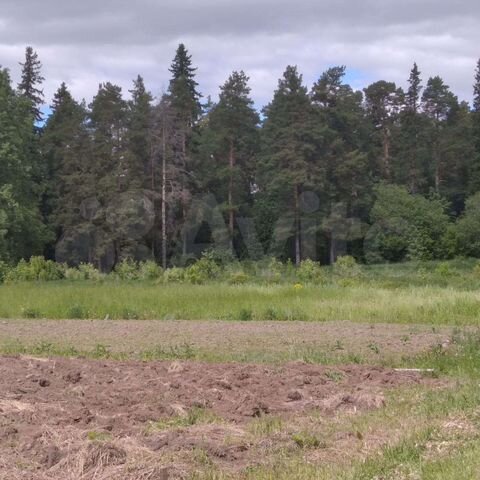 Участок 20 сот. (ИЖС)