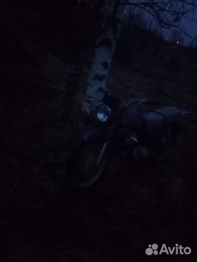 Не мотик а латырея