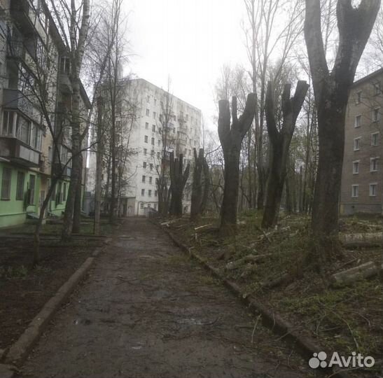 Валка деревьев