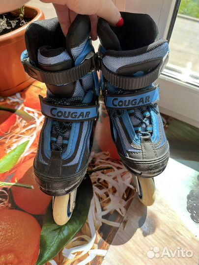 Ролики cougar 30-33