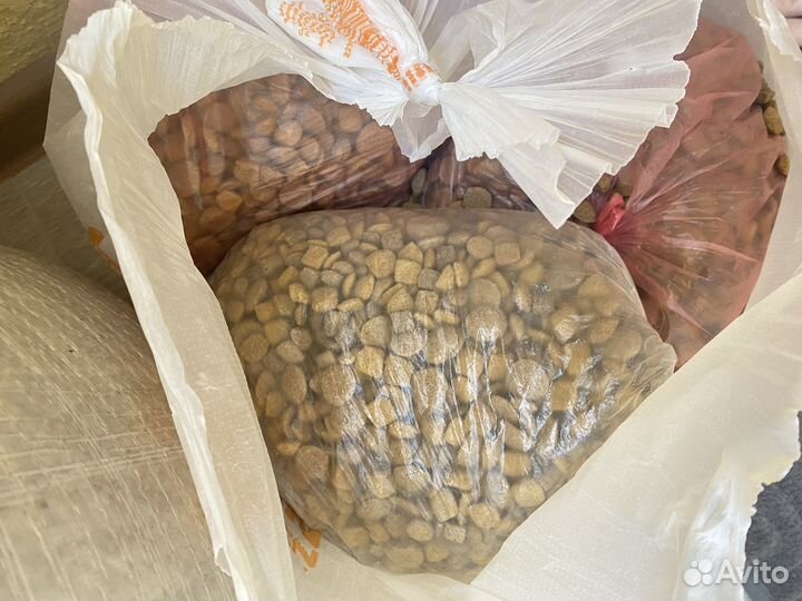 Корм для собак и кошек