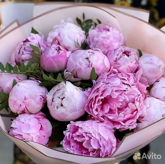 Пионы Букет пионов