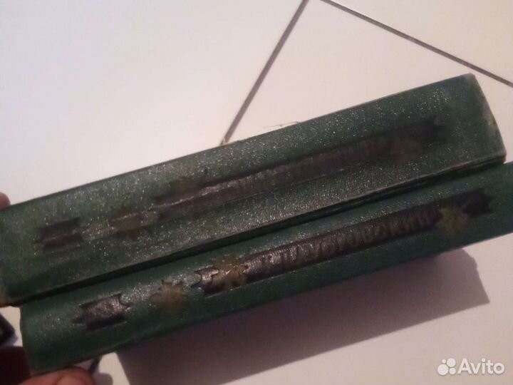 Паустовский избранное в 2 томах