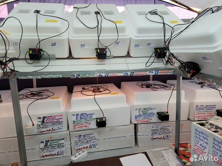 Инкубаторы