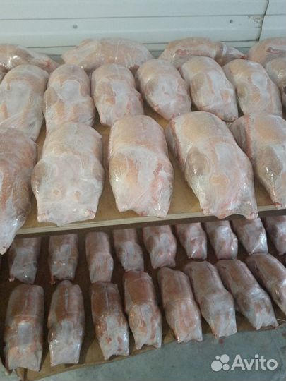 Гуси дамашный кг 490 рублей
